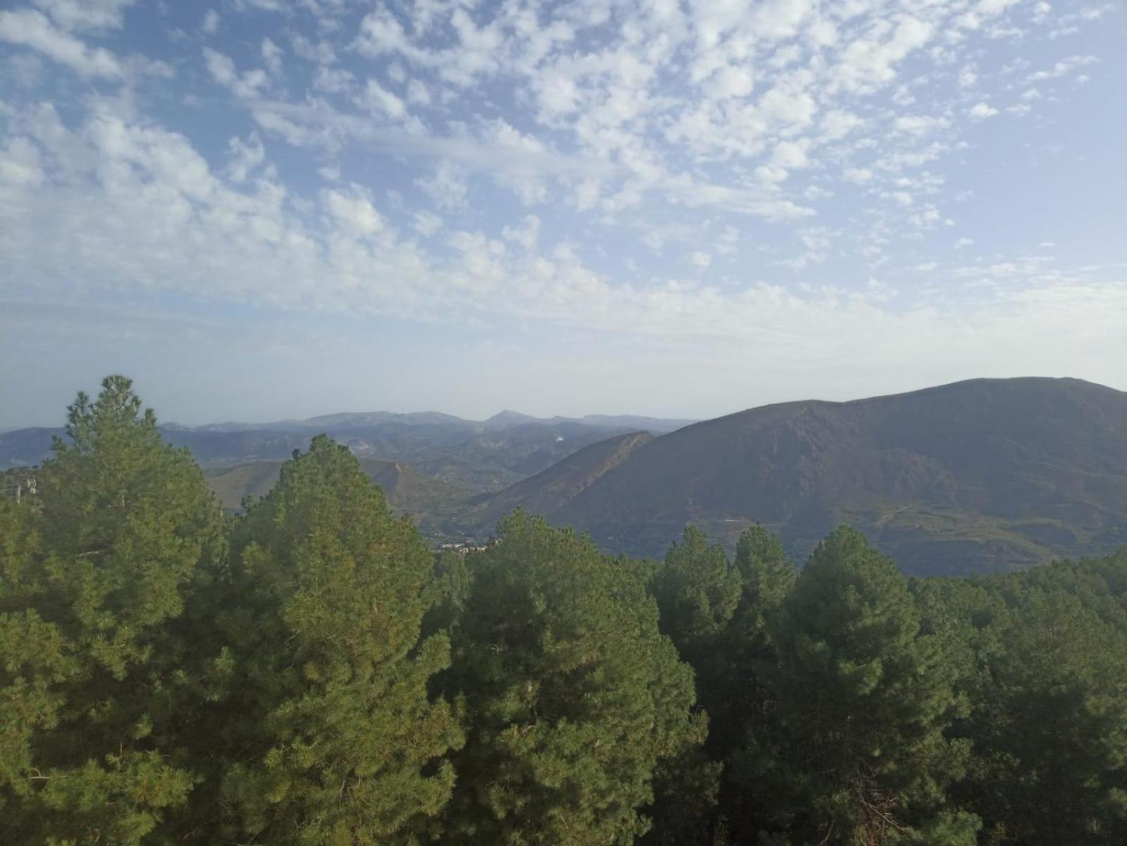 Hostal El Desvio Sierra Nevada Eksteriør billede